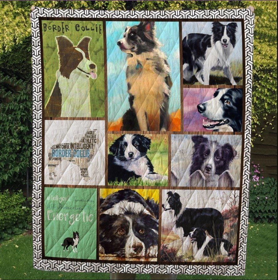 Border Collie Energetic CL10100062MDQ Quilt Blanket
