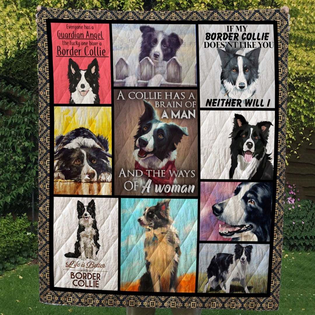 Border Collie Life CL10100065MDQ Quilt Blanket