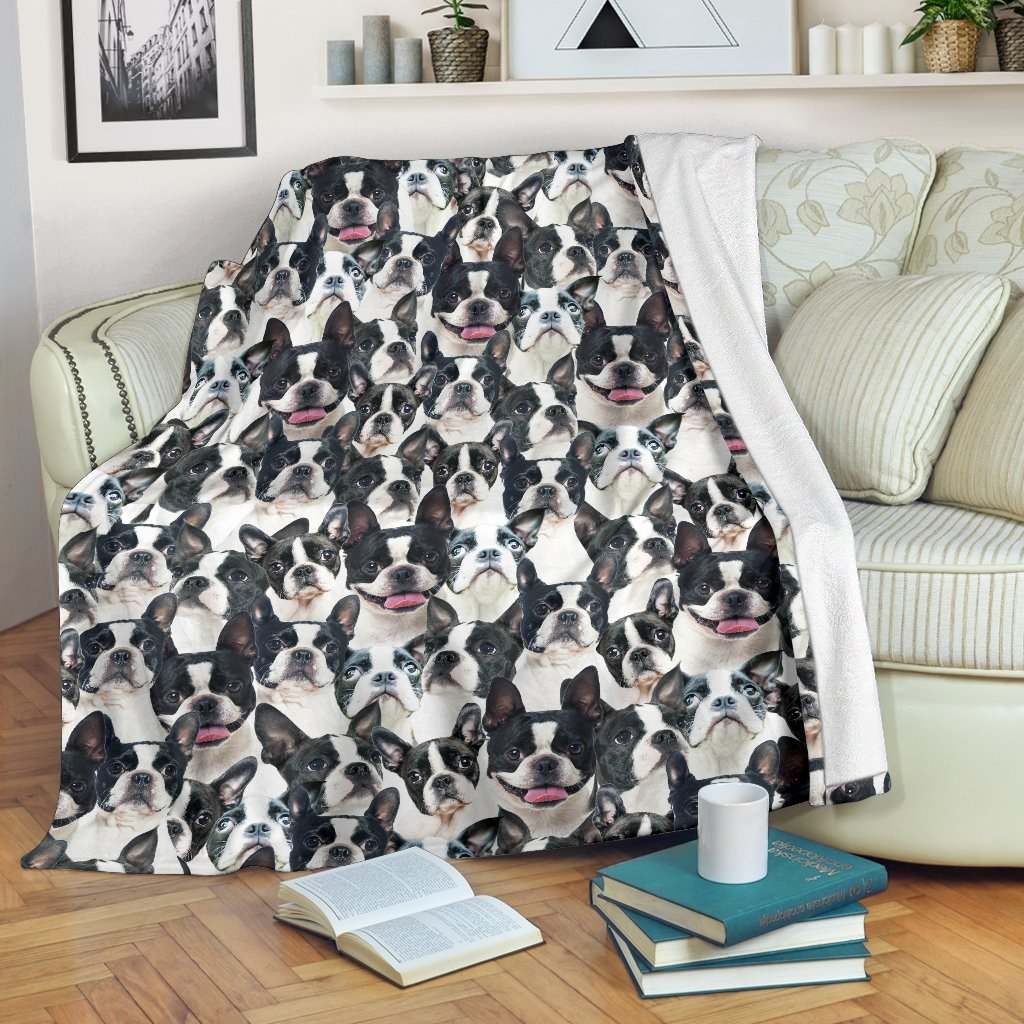 Boston Terrier – Blanket – 1320