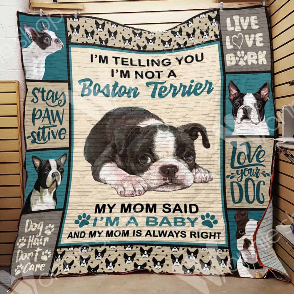 Boston Terrier Dog Blanket LNT0512026 Quilt Blanket