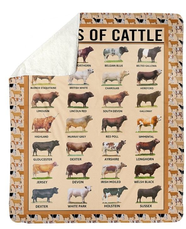 Breeds Of Cattle Sherpa Fleece Blanket