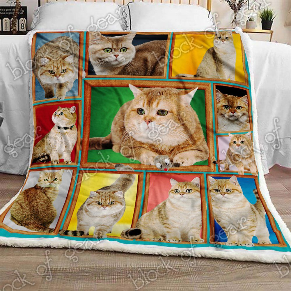 British Shorthair Cat Sherpa Fleece Blanket
