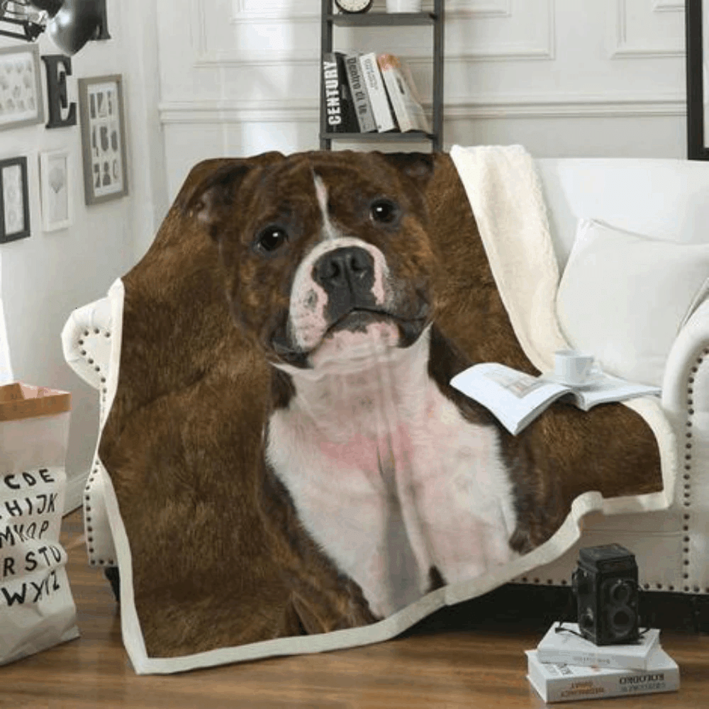 Bull Dog Sherpa Fleece Blanket