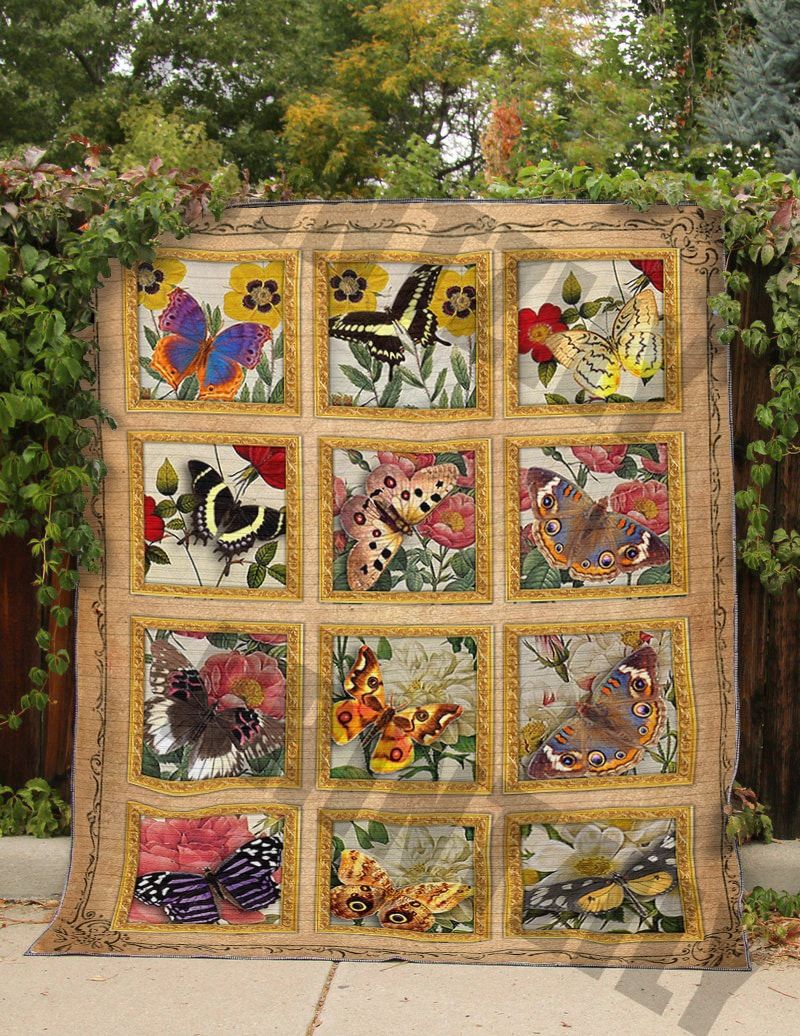 Butterfly Butterfly Is Queen Quilt Blanket DHC3112755TD