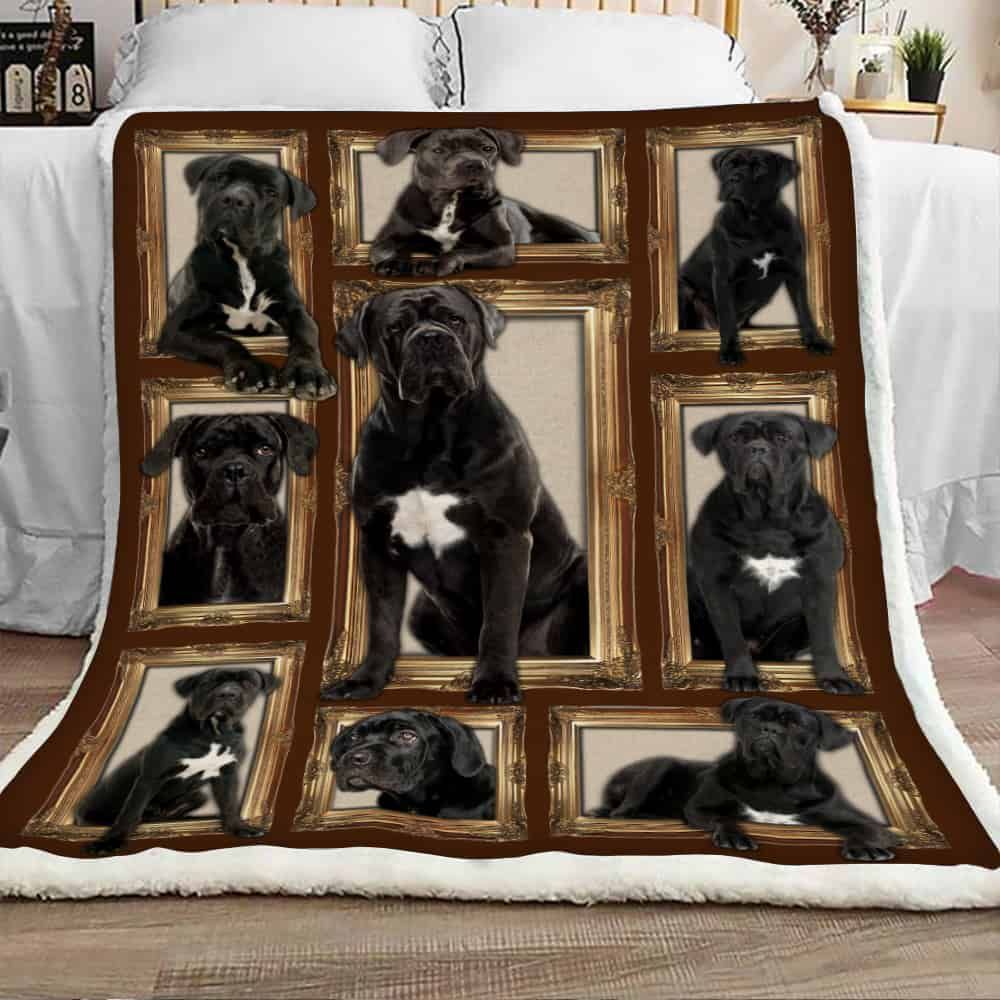 Cane Corso Dog Sherpa Fleece Blanket