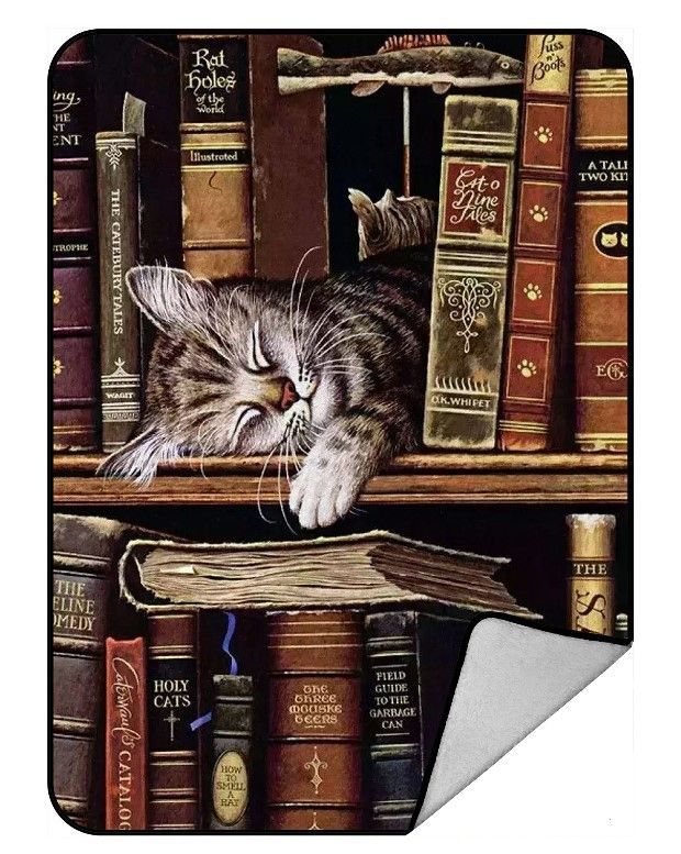 Cat And Book Sherpa Fleece Blanket