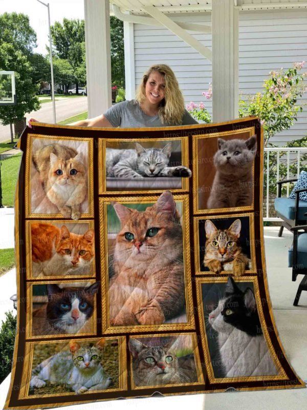 Cat CL14100070MDQ Quilt Blanket
