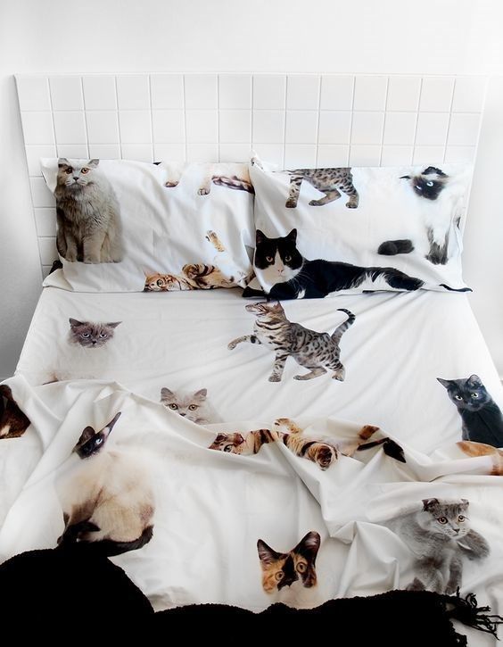 Cat Bedding Set