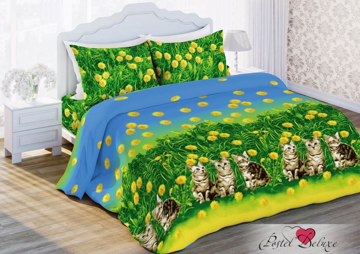 Cat Bedding Set