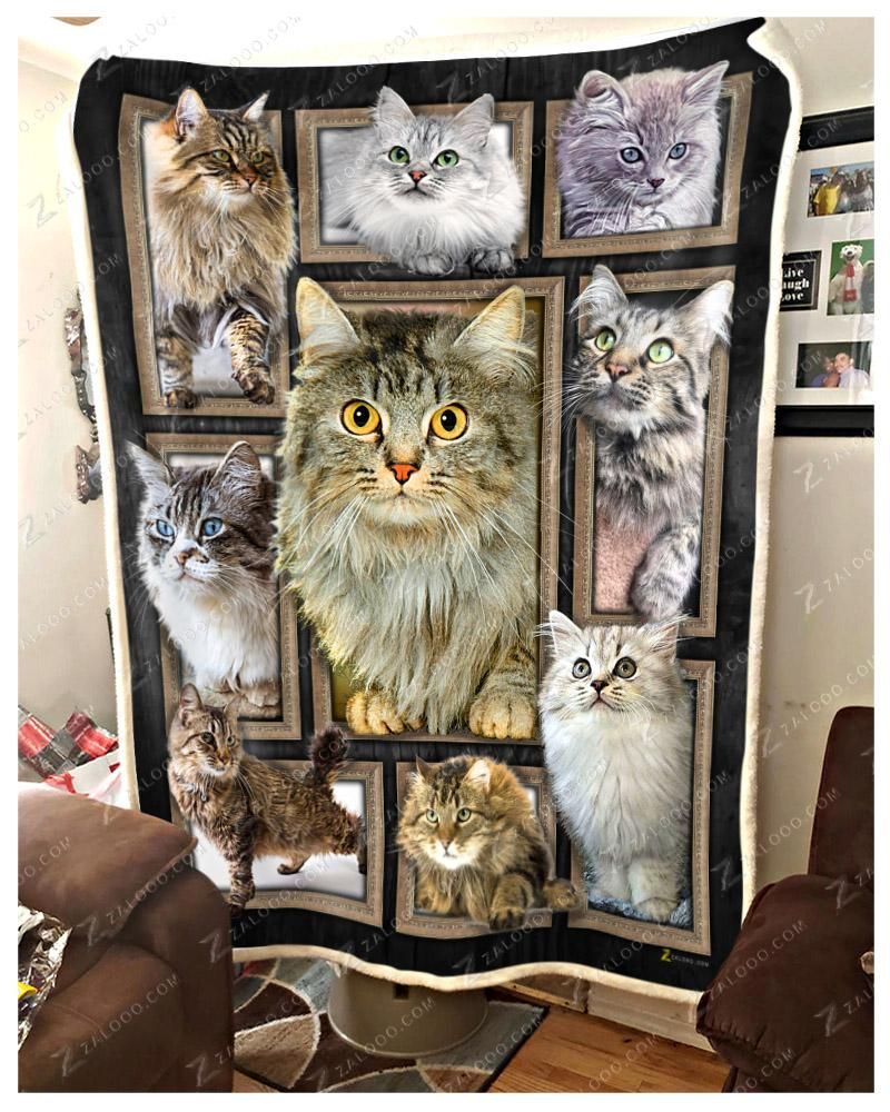 Cat Cute Cats Sherpa Fleece Blanket