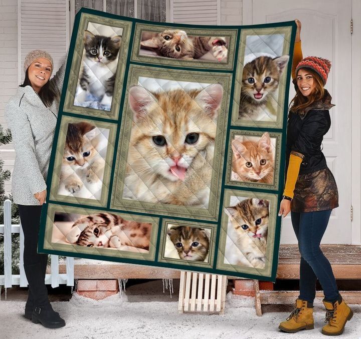 Cat Cute DTC2311787 Quilt Blanket