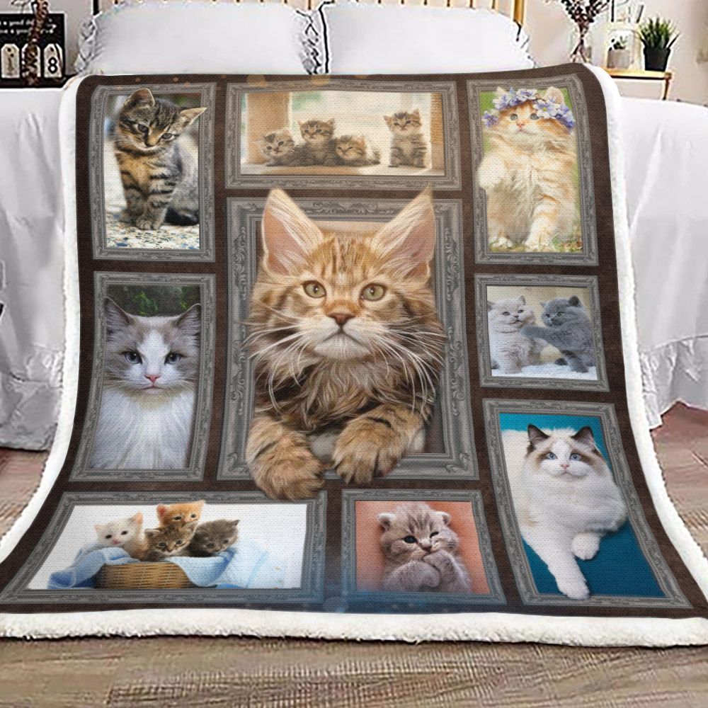 Cat Frame Cute Kitty Sherpa Fleece Blanket