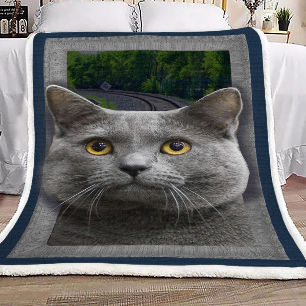Cat Lovely Sherpa Fleece Blanket