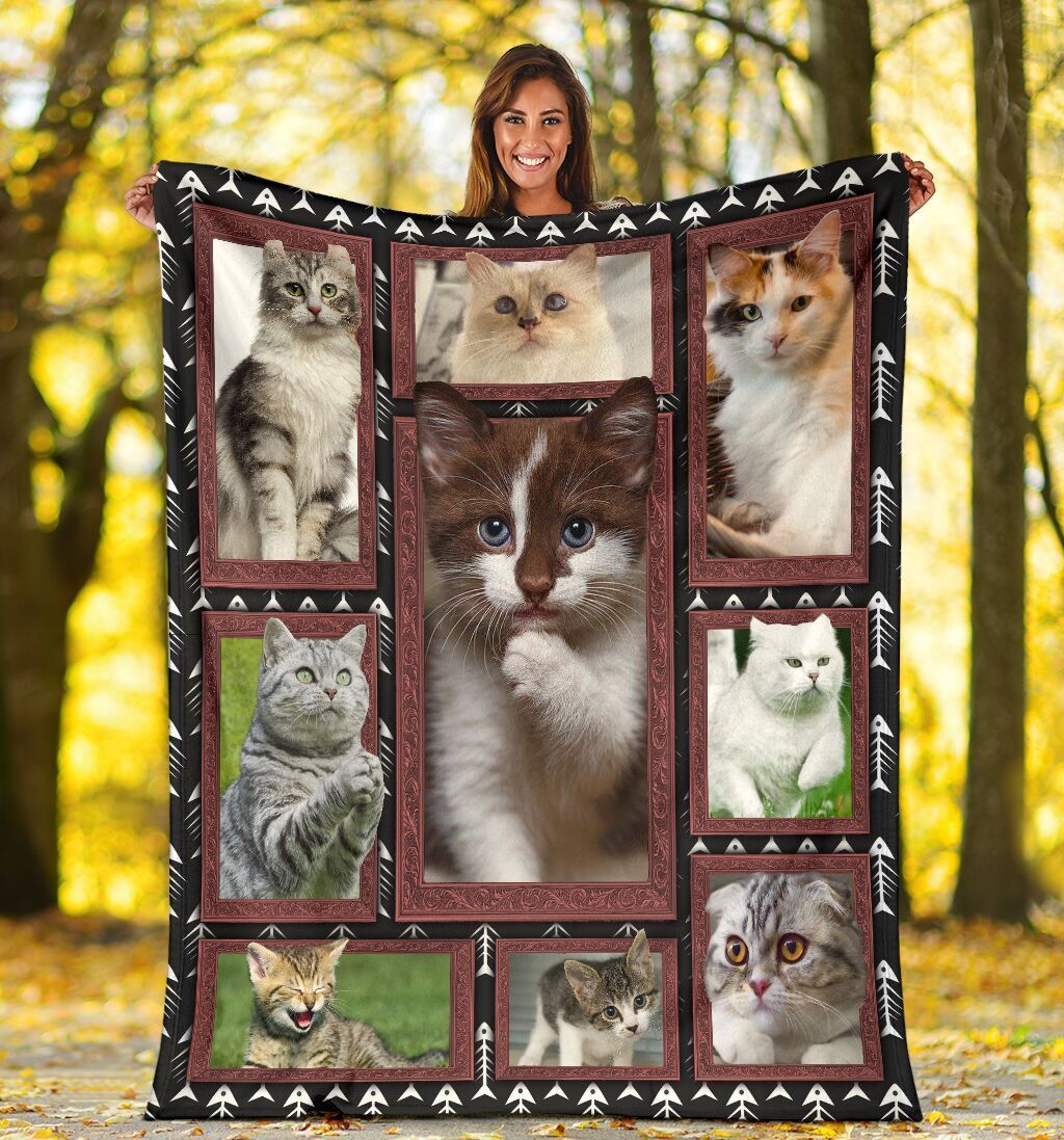 Cat Lover 3d Cat Fleece Blanket