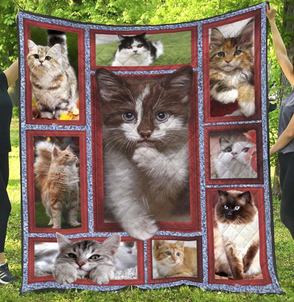 Cat NG180703B Quilt Blanket
