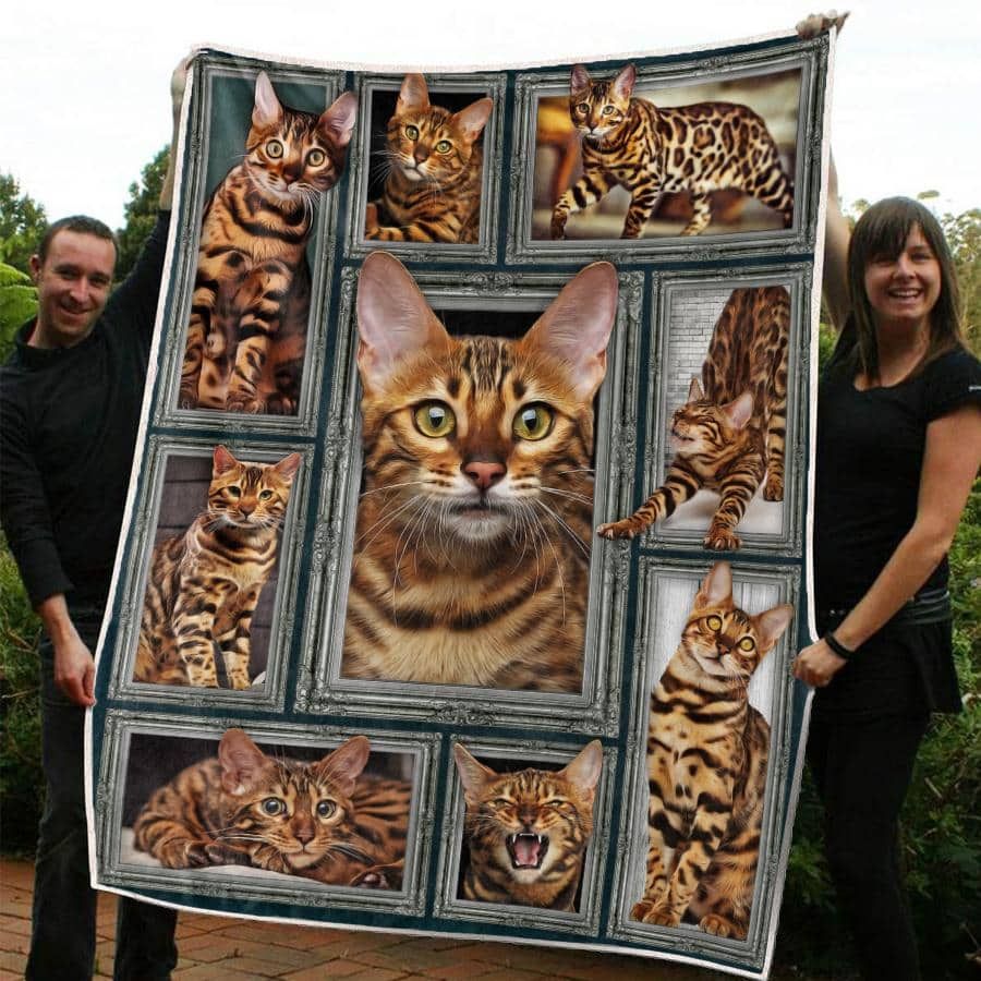 Cat Quilt Blanket DHC13124067VT