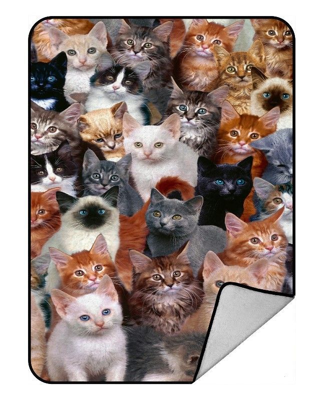 Cats Sherpa Fleece Blanket
