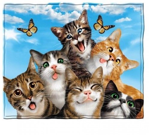 Cats Selfie Sherpa Fleece Blanket