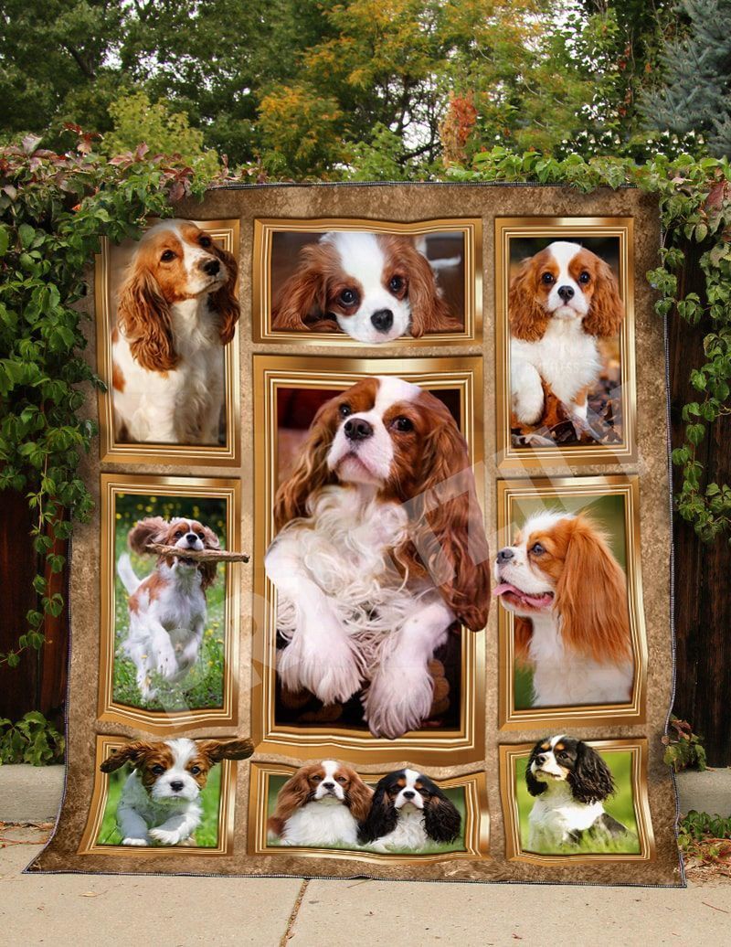 Cavalier King Charles Spaniel King Of Dog World GS-CL-DT0107 Quilt Blanket