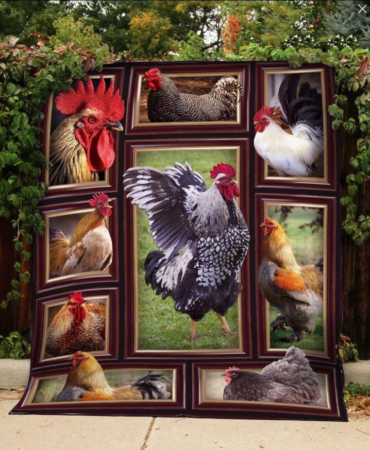 Chicken Find My Way Quilt Blanket DHC31121097TD