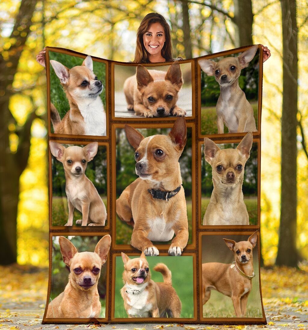 Chihuahua Lover 3d Chihuahua Dog Fleece Blanket