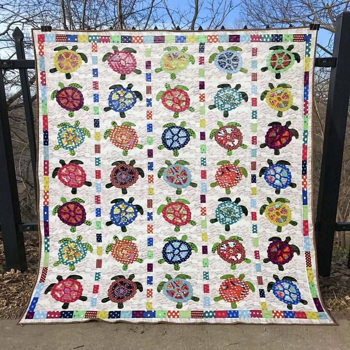 Colorful Turtle DTC2410149 Quilt Blanket