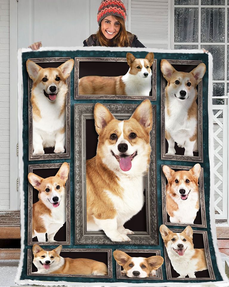 Corgi Quilt Blanket DHC150120710TD