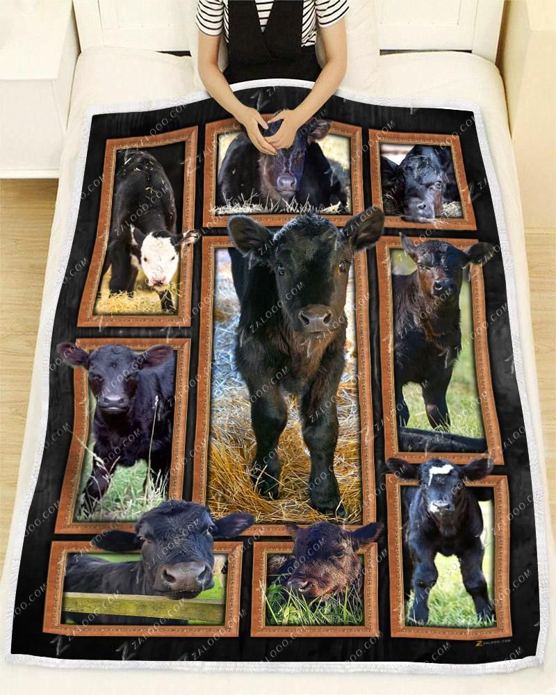 Cow Black Angus Calves Sherpa Fleece Blanket