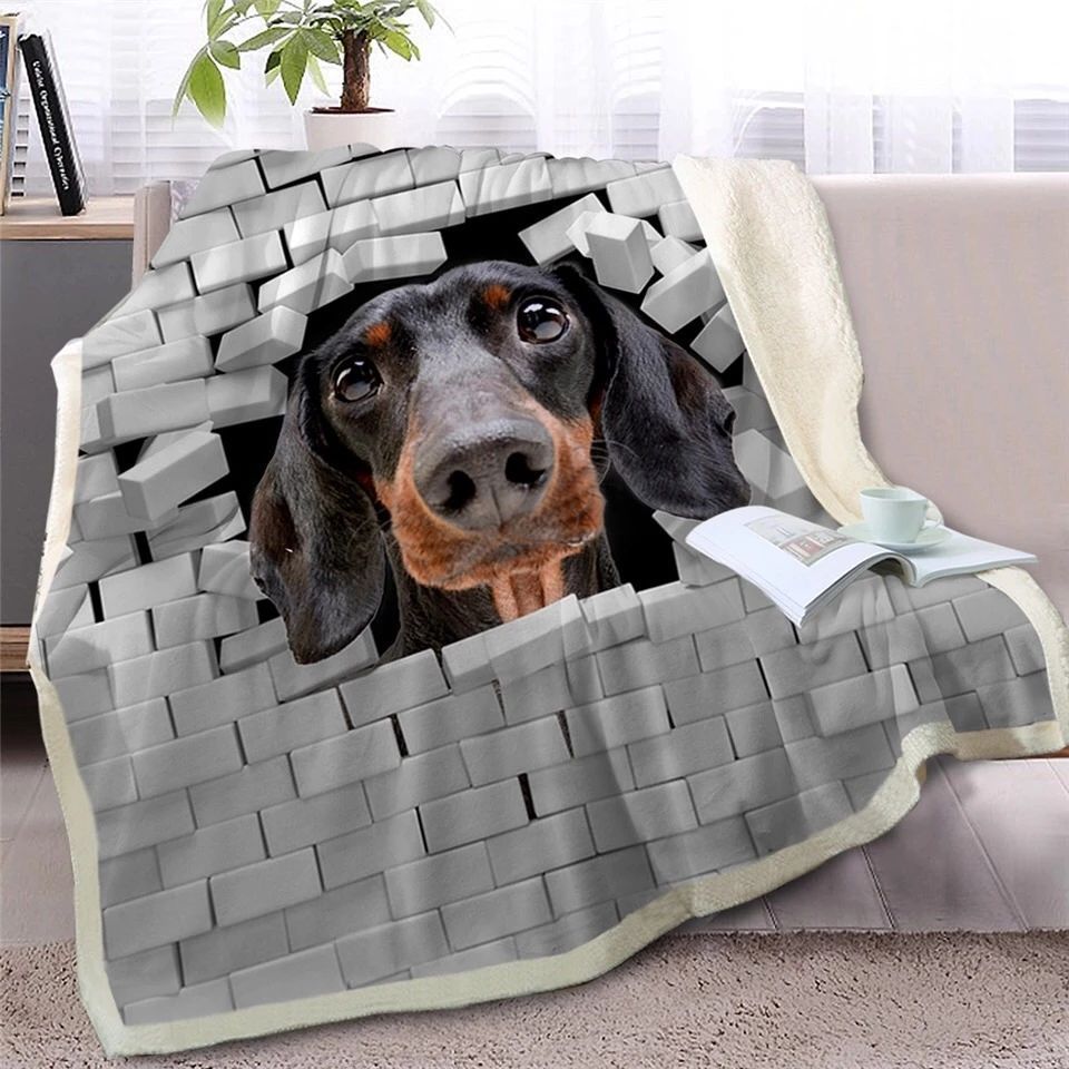 Cracked Bricks Dachshund Sherpa Fleece Blanket