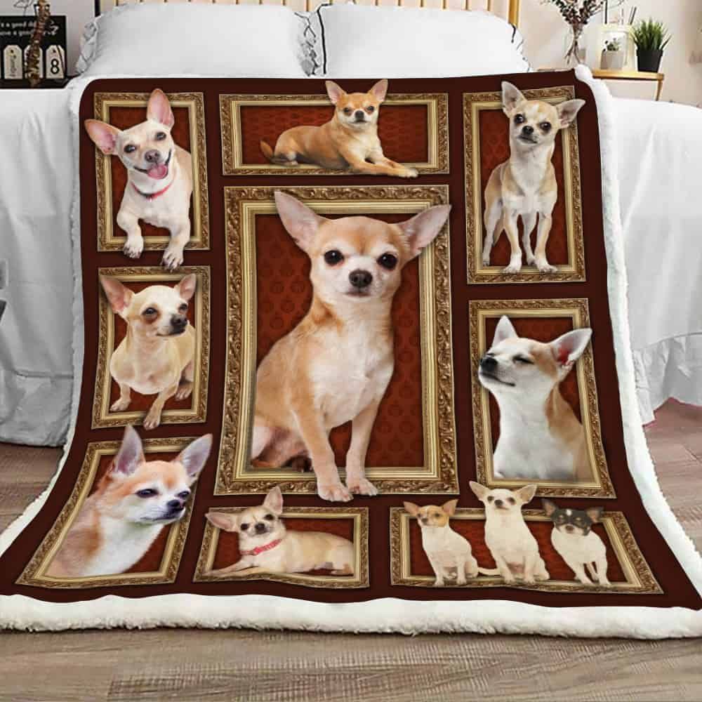 Crazy Chihuahua Dog Sherpa Fleece Blanket