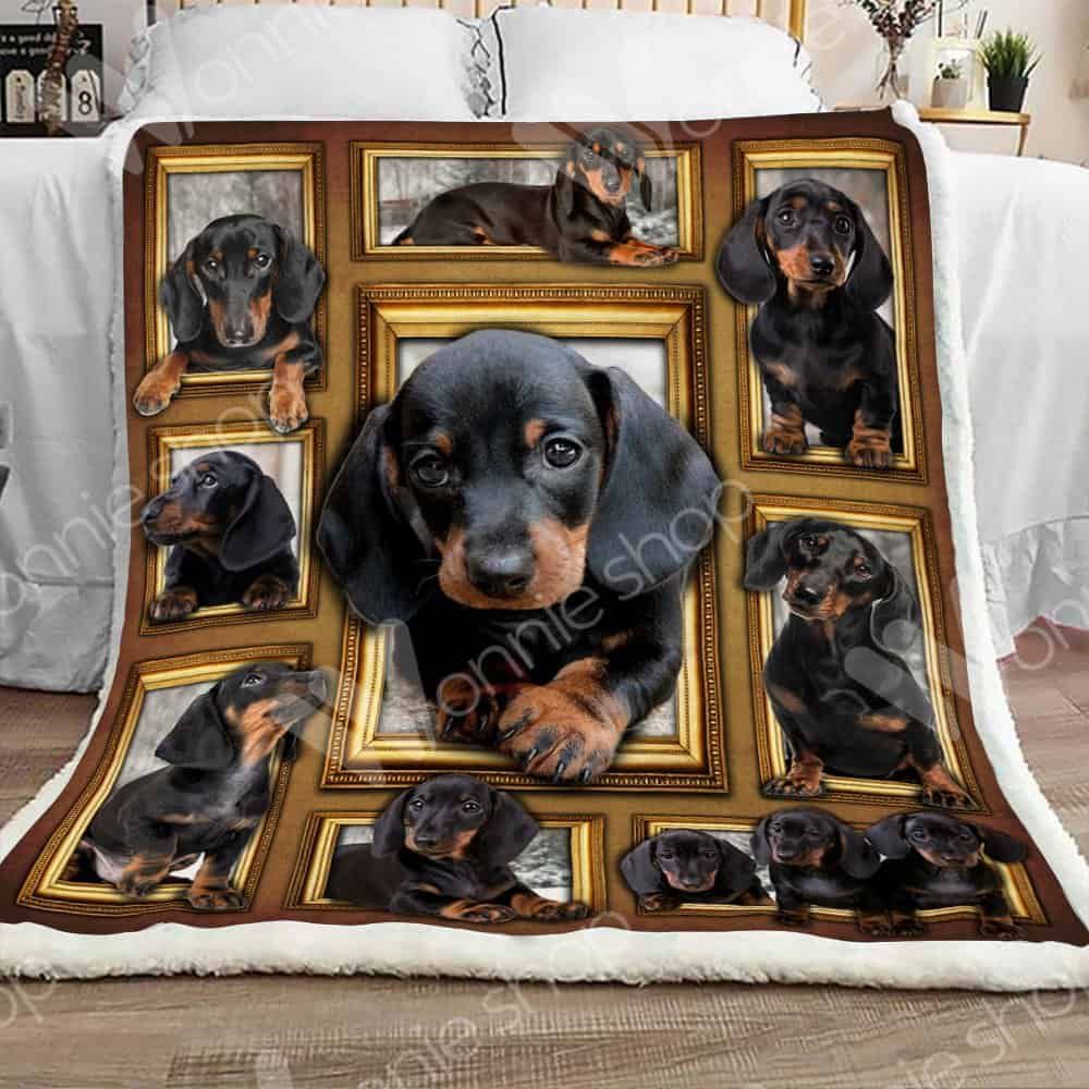 Crazy Dachshund Dog Sherpa Fleece Blanket