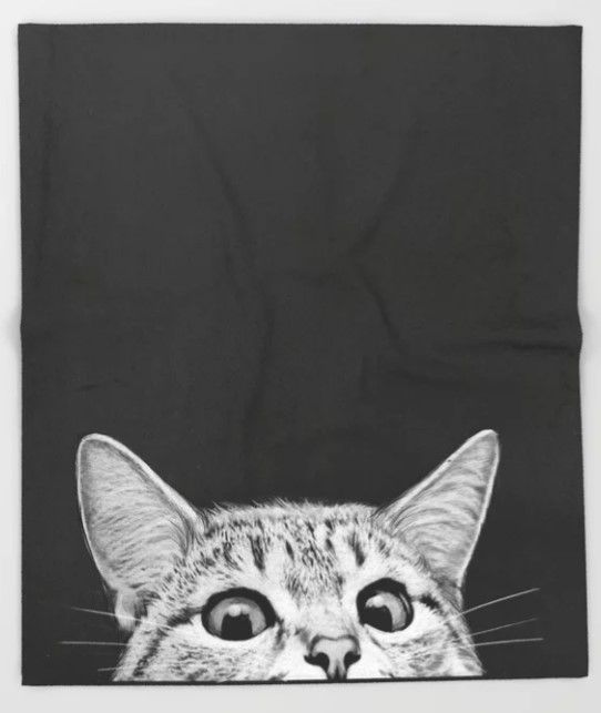 Curious Cat Sherpa Fleece Blanket