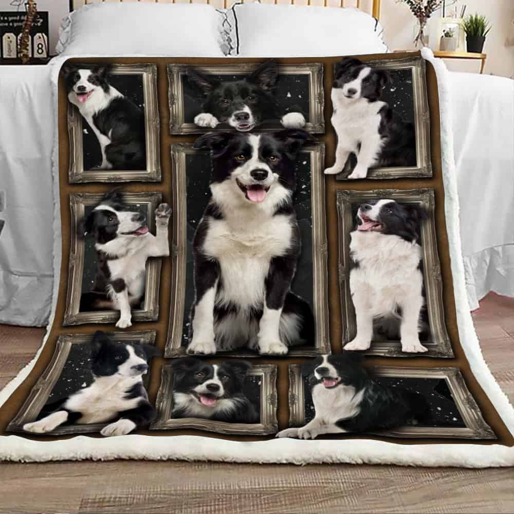 Cute Border Collie Dog Sherpa Fleece Blanket