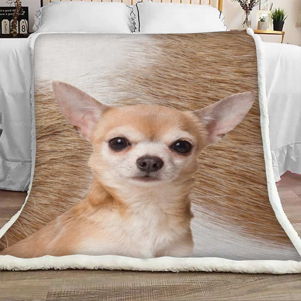 Cute Chihuahua Dog Sherpa Fleece Blanket