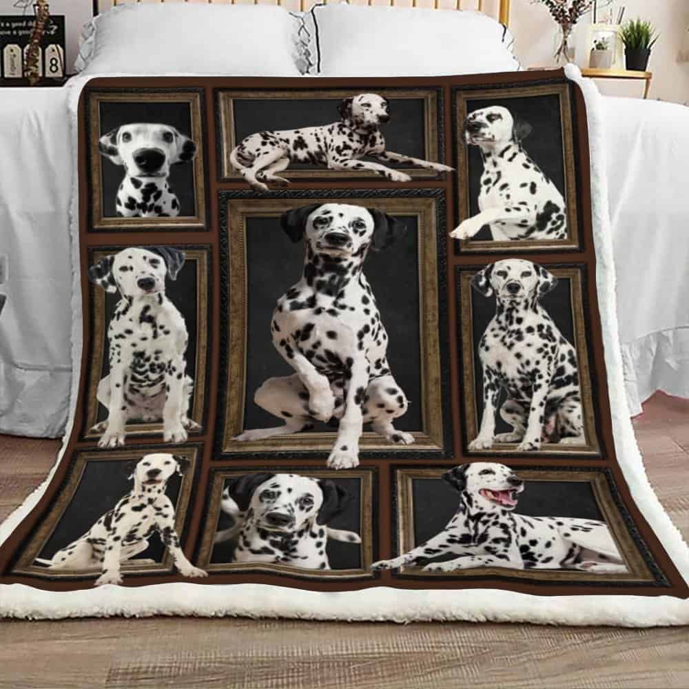 Cute Dalmatian Dog Sherpa Fleece Blanket