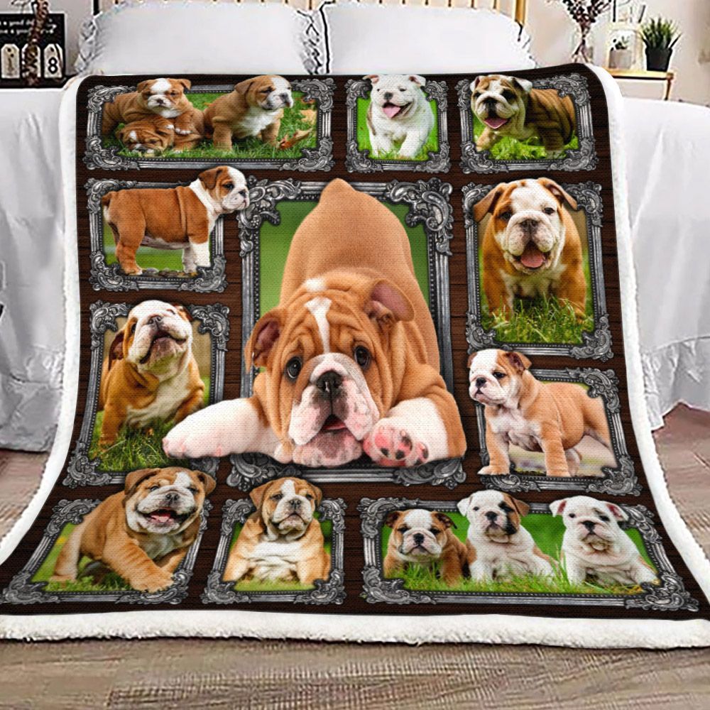 Cute English Bulldogs Sherpa Fleece Blanket