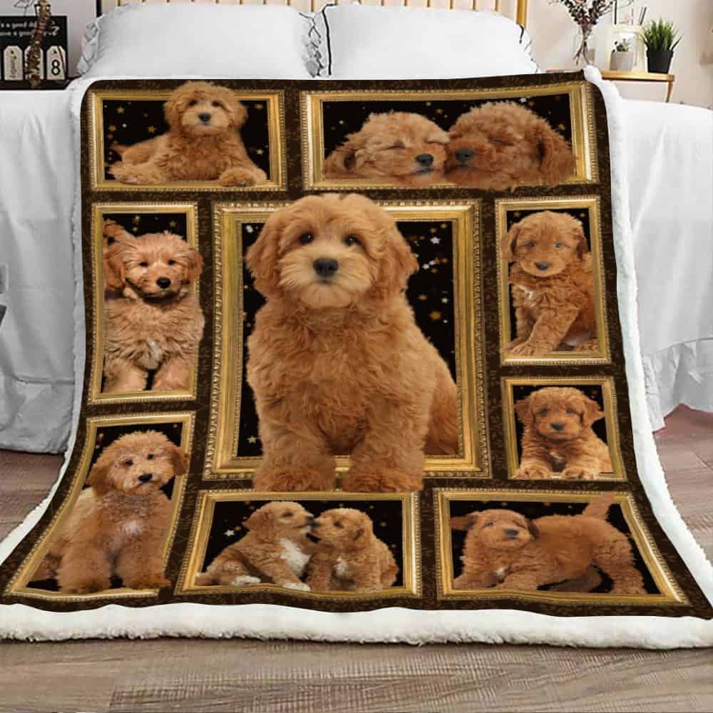 Cute Goldendoodle Sherpa Fleece Blanket