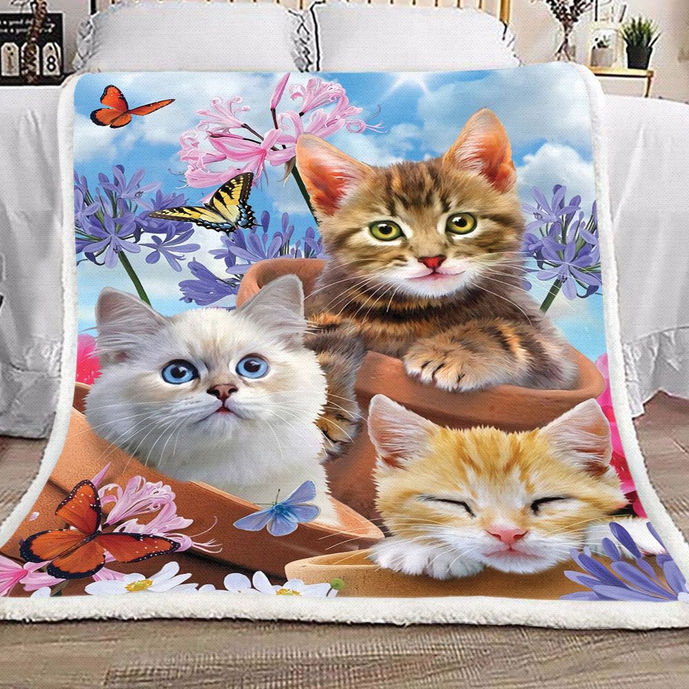 Cute Kittens Fleece Blanket
