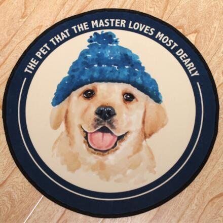 Cute Labrador Wears Hat Round Carpet