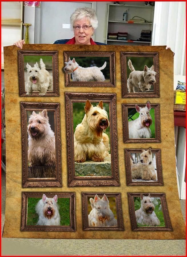 Cute White Scottish Terrier Dog Sherpa Fleece Blanket