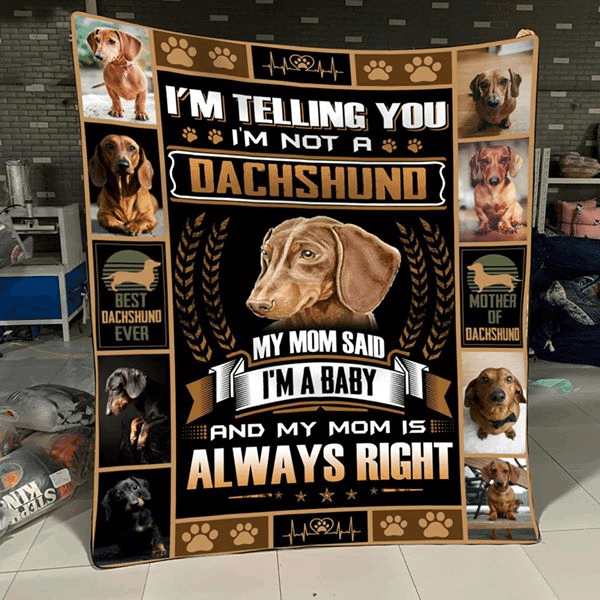 Dachshund Baby Quilt Blanket DHC150120569TD