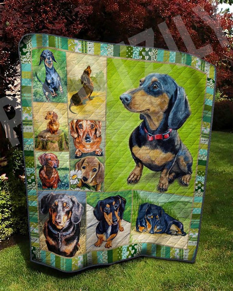 Dachshund Bi Bi Bi Quilt Blanket DHC0201201068TD
