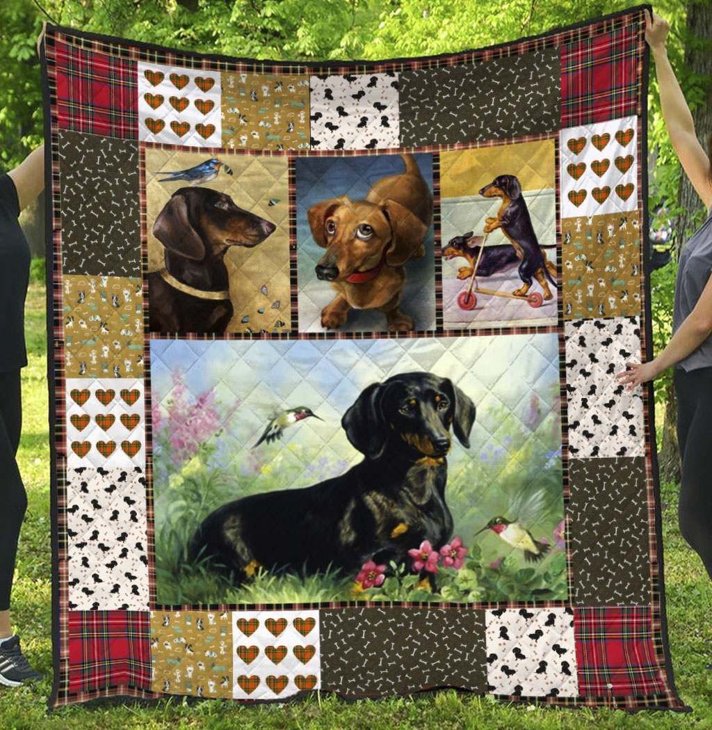 Dachshund BI050807C TBG Quilt Blanket