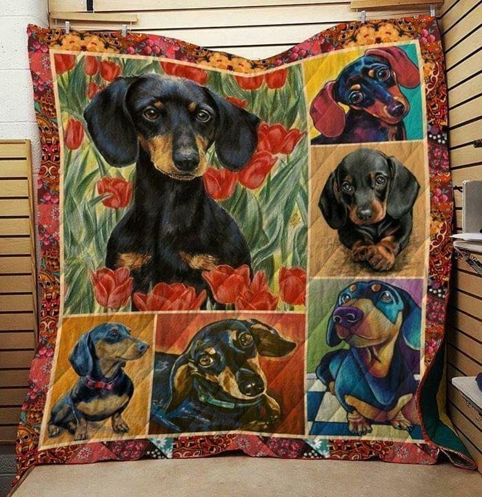 Dachshund CLA0810106Q Quilt Blanket