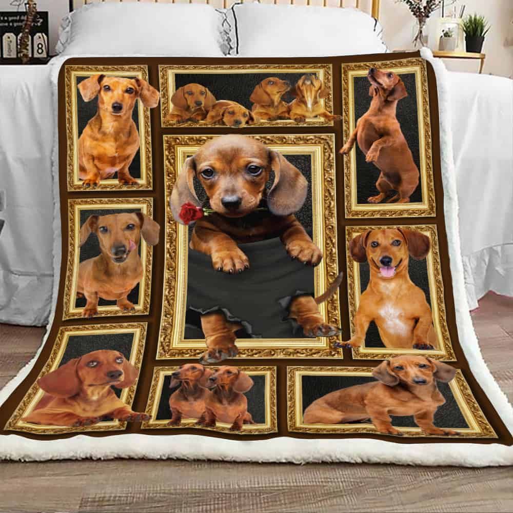 Dachshund Dog And Rose Sherpa Fleece Blanket