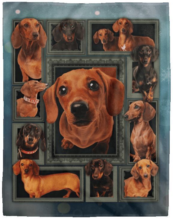 Dachshund Dog Sherpa Fleece Blanket