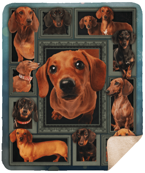 Dachshund Dog Sherpa Fleece Blanket