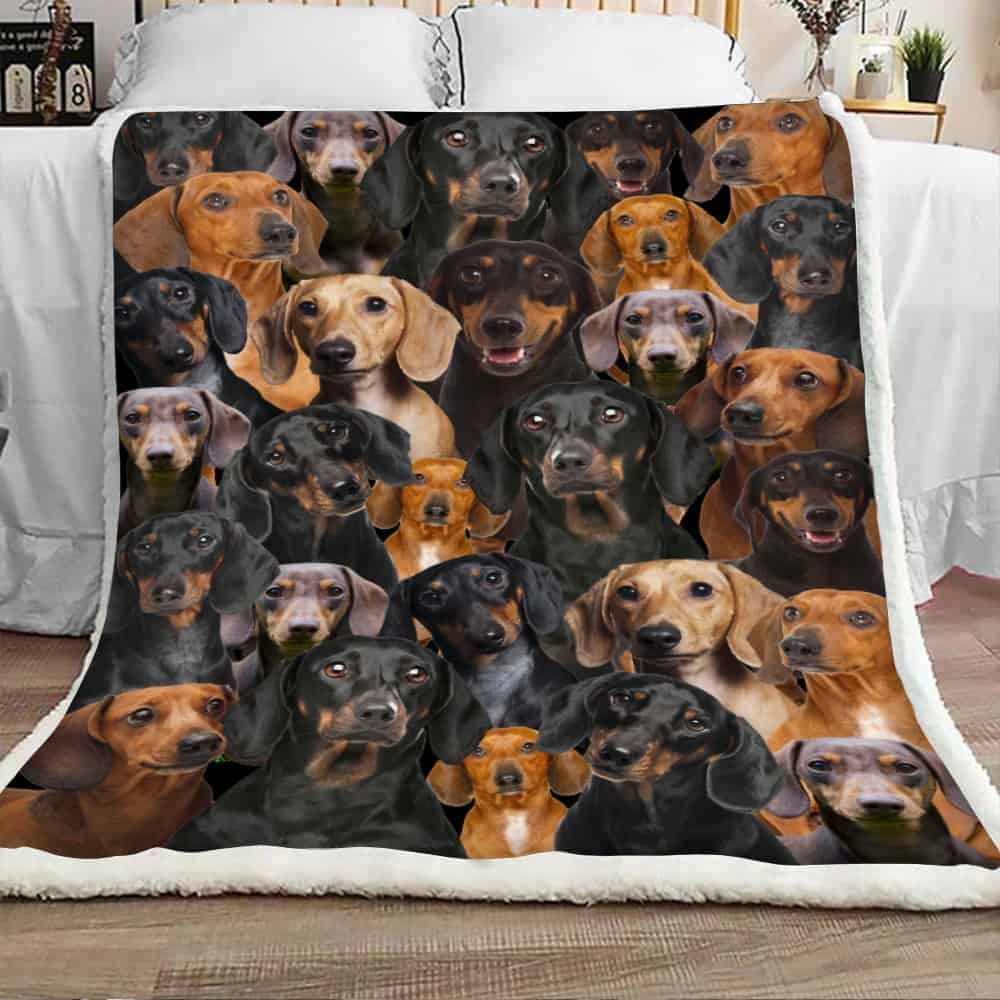 Dachshund Dog Sherpa Fleece Blanket