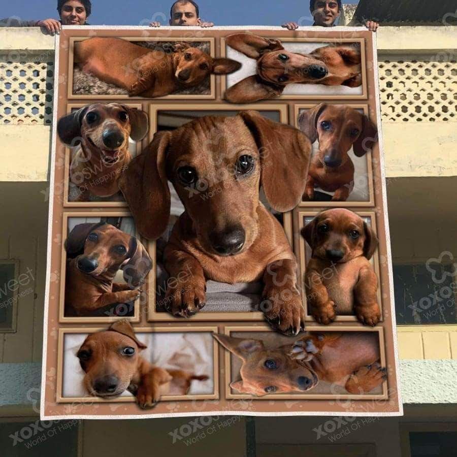 Dachshund Dog2 Sherpa Fleece Blanket