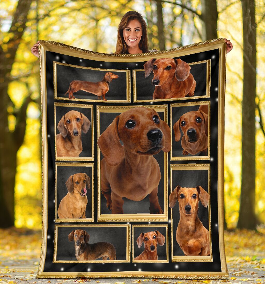 Dachshund Doxie Wiener Dog Funny Dog Lover Adorable Sherpa Fleece Blanket